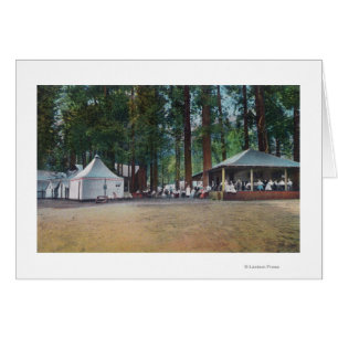 View of Camp CurryYosemite Nat'l Park, CA Cards