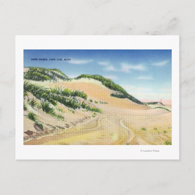 View of Cape Cod Sand Dunes Postcard (Front)