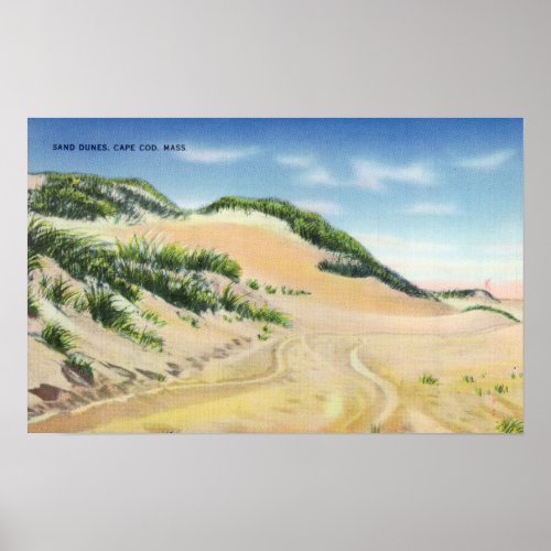View of Cape Cod Sand Dunes Poster