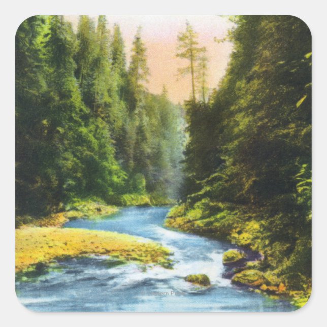 View of Capilano Suspension Bridge # 2 Square Sticker (Front)