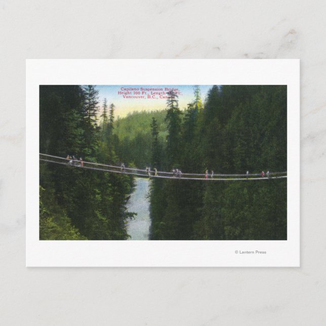 View of Capilano Suspension Bridge Postcard (Front)