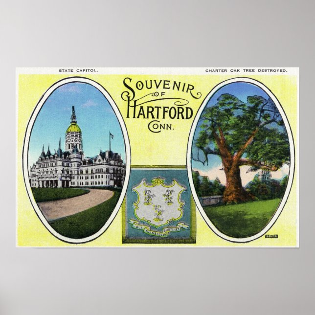 View of Capitol Bldg and Oak Tree Poster (Front)