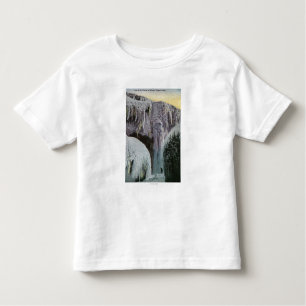 View of Cave of the Winds in Winter Toddler T-shirt