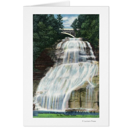 View of Chequagah Falls Cards (Front)