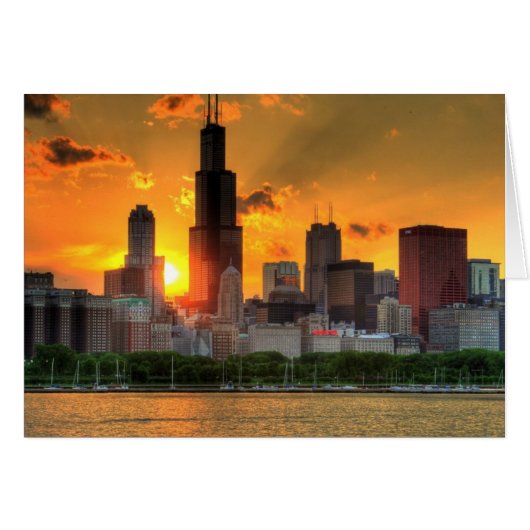 View of Chicago's skyline from  Adler Cards (Front Horizontal)