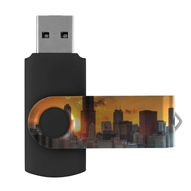 View of Chicago's skyline from  Adler Flash Drive (Opened)