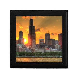 View of Chicago's skyline from Adler Gift Box