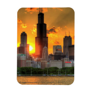 View of Chicago's skyline from  Adler Magnet