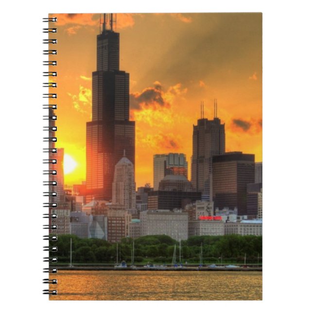 View of Chicago's skyline from  Adler Notebook (Front)