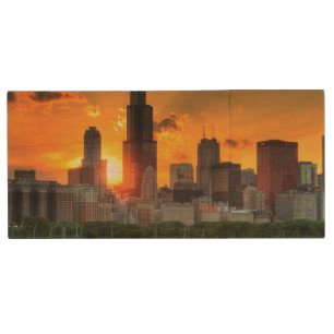 View of Chicago's skyline from  Adler Wood USB Flash Drive