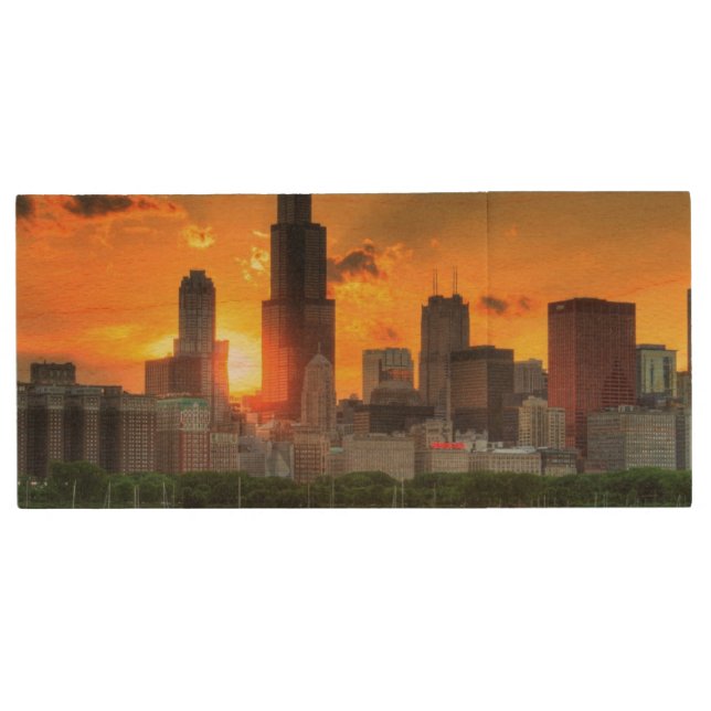 View of Chicago's skyline from  Adler Wood USB Flash Drive (Front)