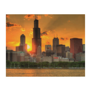 View of Chicago's skyline from Adler Wood Wall Art
