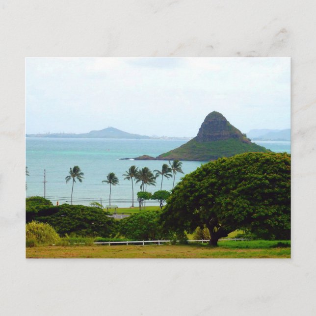 View of Chinaman's Hat Postcard (Front)