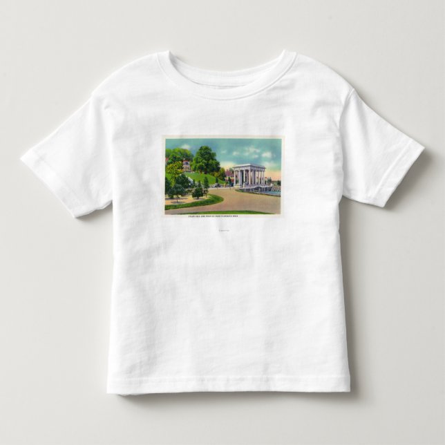 View of Coles Hill and Plymouth Rock Portico Toddler T-shirt (Front)