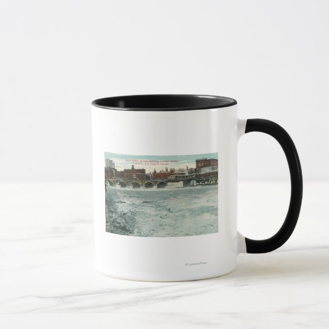 View of Court Street Bridge Showing Lehigh Mug (Right)