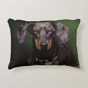 View of Dapple colored Dachshund Decorative Pillow