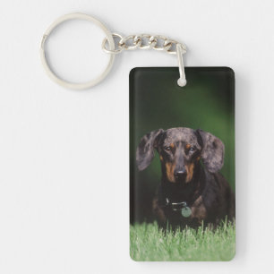 View of Dapple colored Dachshund Keychain