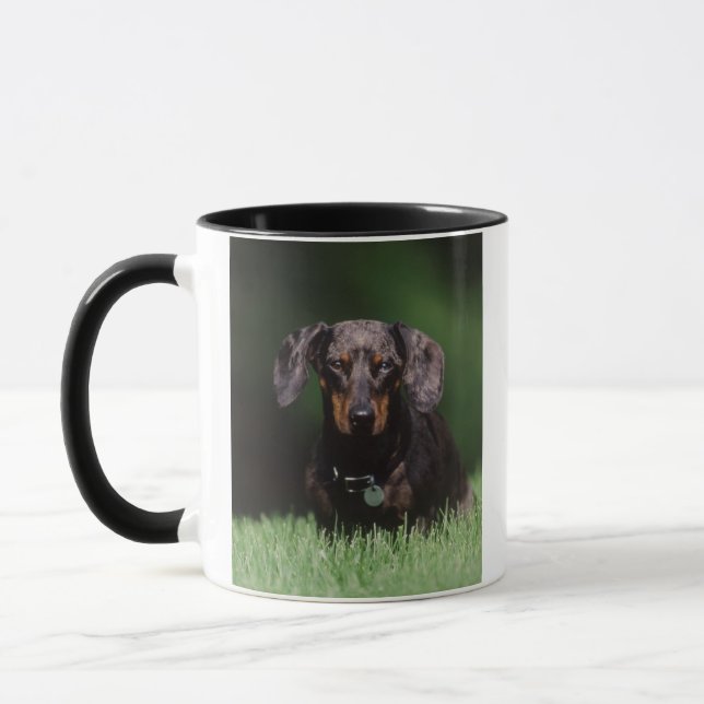 View of Dapple colored Dachshund Mug (Left)