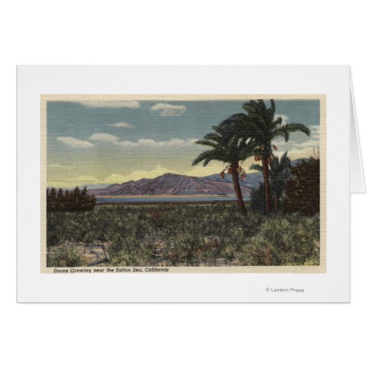 View of Dates Growing near the Salton Sea (Front Horizontal)