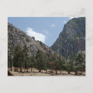 View of Delphi, Greece Postcard