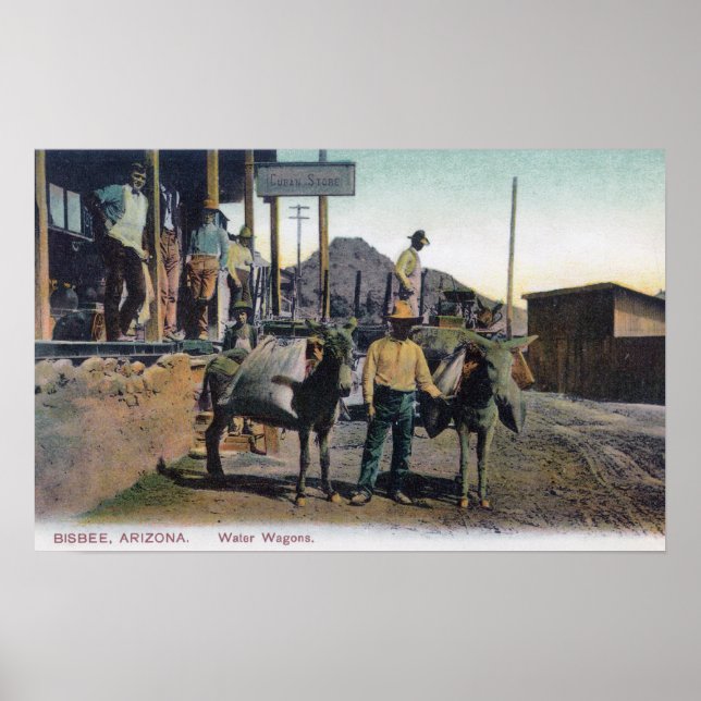 View of Donkeys Carrying WaterBisbee, AZ Poster (Front)