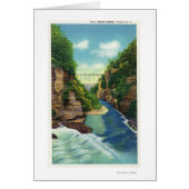 View of Fall Creek Gorge (Front)