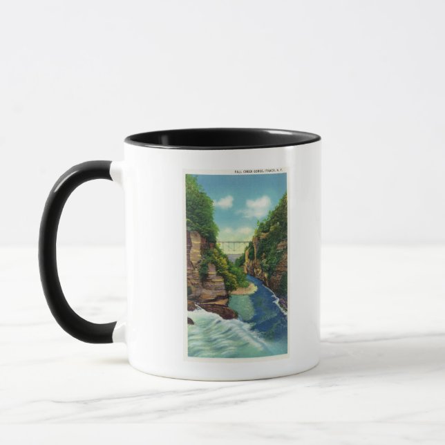 View of Fall Creek Gorge Mug (Left)