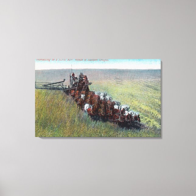 View of Farmers Harvesting with Huge Horse Canvas Print (Front)