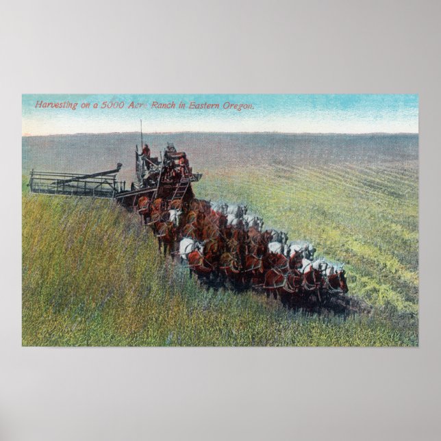 View of Farmers Harvesting with Huge Horse Poster (Front)