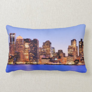 View of Financial District of downtown Boston Lumbar Pillow
