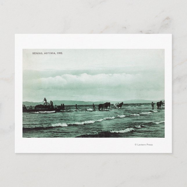 View of Fishermen Seine Fishing, Horse Carts Postcard (Front)