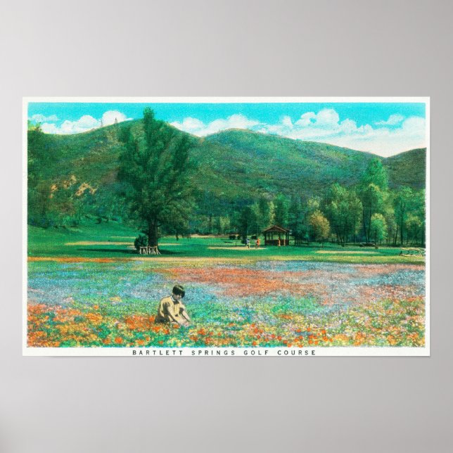 View of Flowering Field Poster (Front)