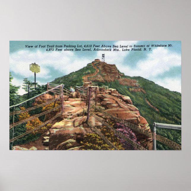 View of Foot Trail to Summit Poster (Front)