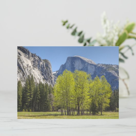 View of Half Dome (Standing Front)