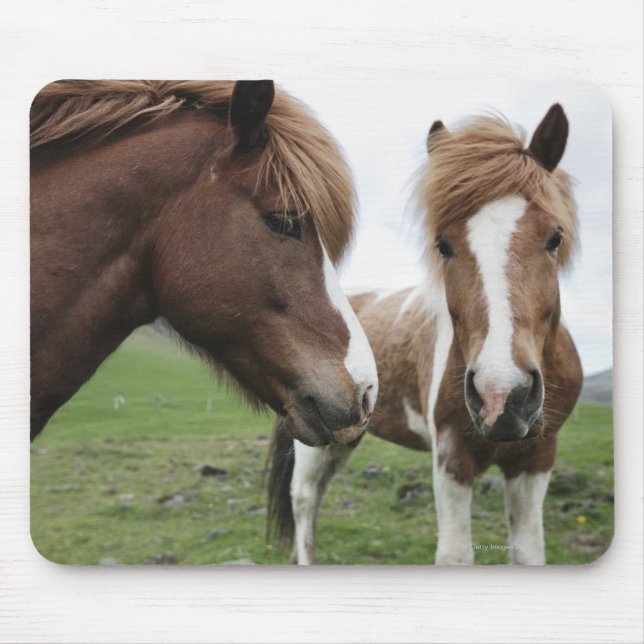 View of Horse, close-up Mouse Pad (Front)
