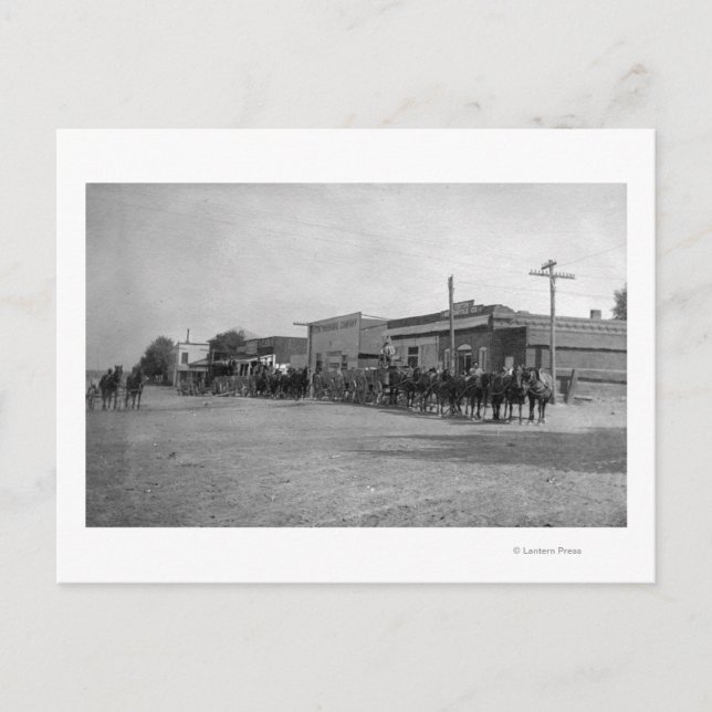 View of Horse Wagon Teams on Street Postcard (Front)
