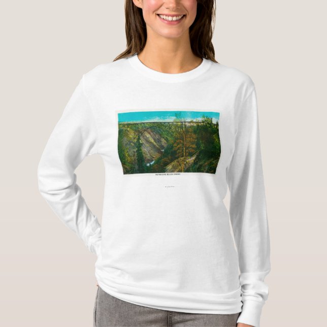 View of Hurricane Gulch Bridge, Alaska T-Shirt (Front)