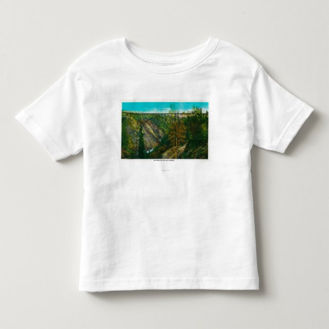 View of Hurricane Gulch Bridge, Alaska Toddler T-shirt (Front)