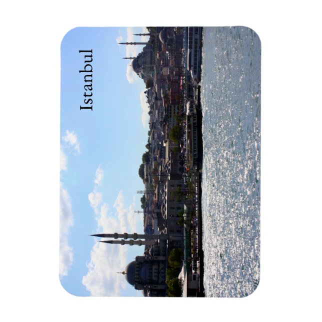 View of Istanbul Harbor Magnet (Vertical)