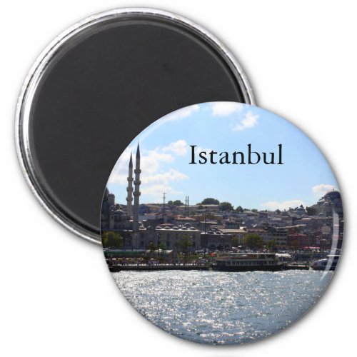 View of Istanbul Harbor Magnet