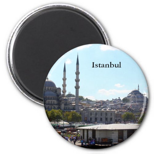 View of Istanbul Magnet