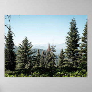 View of Kings Canyon in the Sierra Nevada Forest Poster