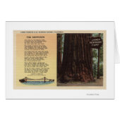 View of Lanes Redwood Flat (Front Horizontal)