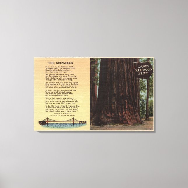 View of Lanes Redwood Flat Canvas Print (Front)