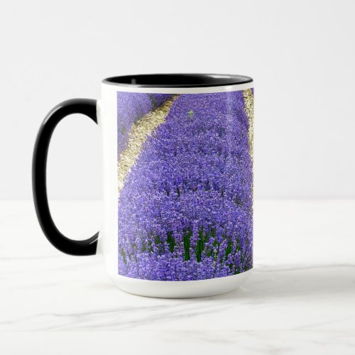 View of lavender fields in the Drme provencale Mug