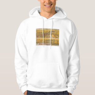 View Of Los Angeles, 1894 Hoodie