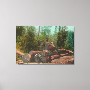 View of Lumberjacks, Logging SceneSterling, CA Canvas Print