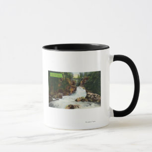 View of Lynn Canyon Falls Mug