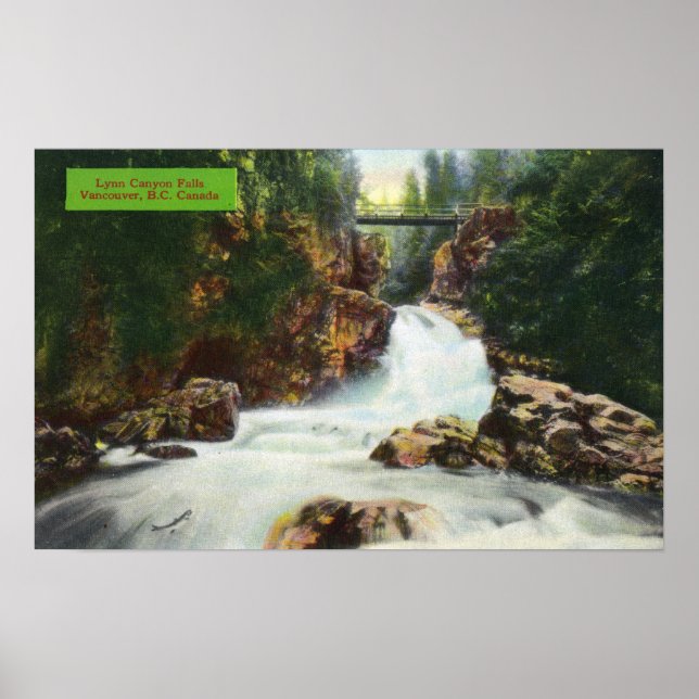 View of Lynn Canyon Falls Poster (Front)