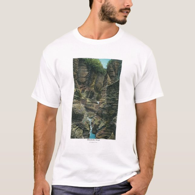 View of Minnehaha Gorge T-Shirt (Front)
